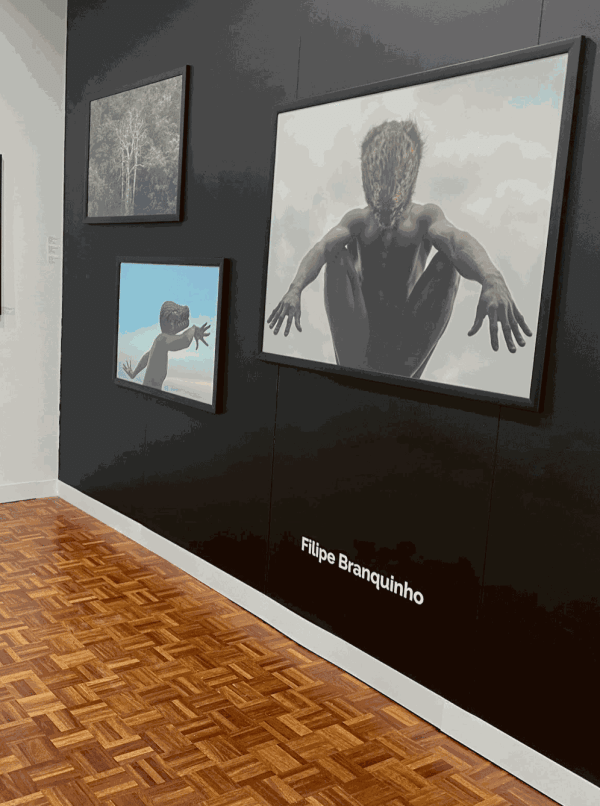 akka project, contemporary african art, africa, emerging, venezia, dubai, photography, art fair, photo basel, switzerland