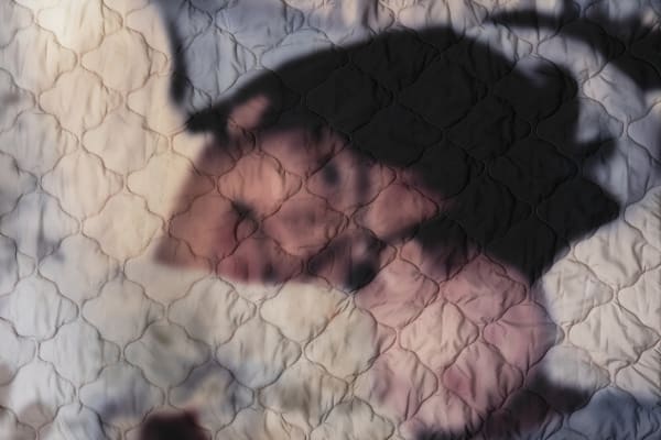 A S Hthumbnailhighres