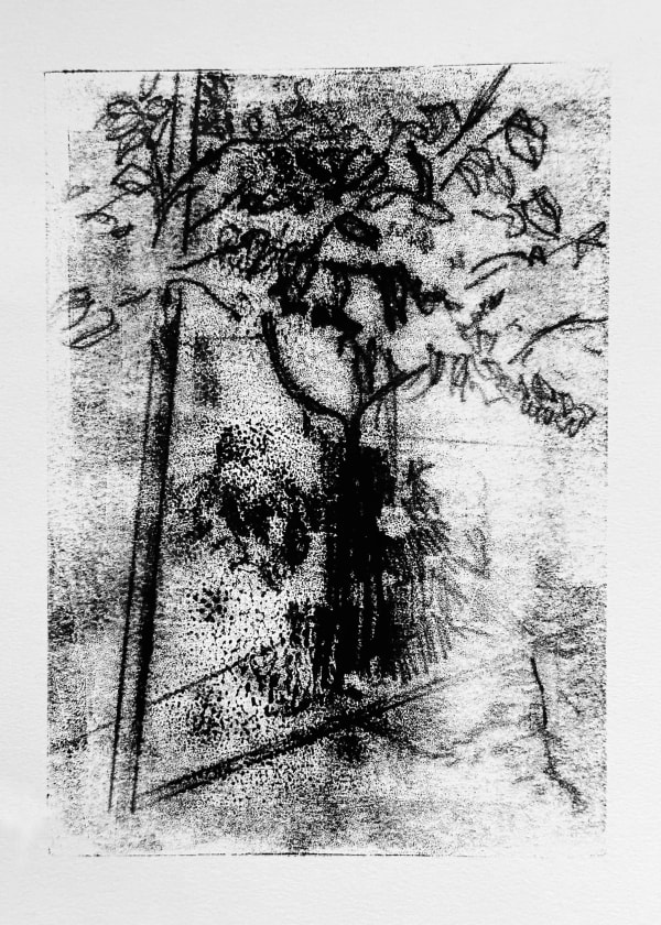 Melanie Taylor, Trace 3