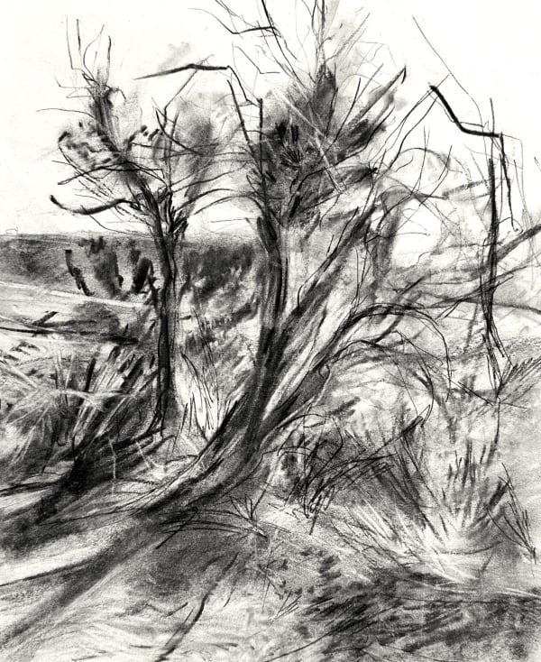 Carbon Neutral II Group Exhibition at SIP Art Space