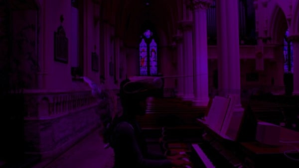 Mosquito Organist Still 002