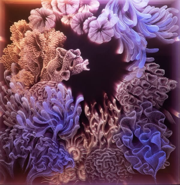 Tatyana Murray - SUMMER DREAMING, 2023