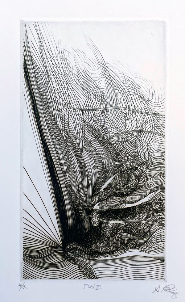 Akira Abé, Sud III, 1995