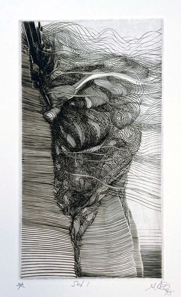 Akira Abé, Sud I, 1995