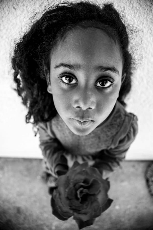BLACK ROSE, 2017