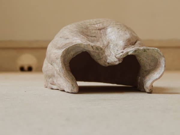 BETH COLLAR, Seriously, 2017