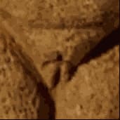 YAYAYA Curatorial Project / Open Call / Auction