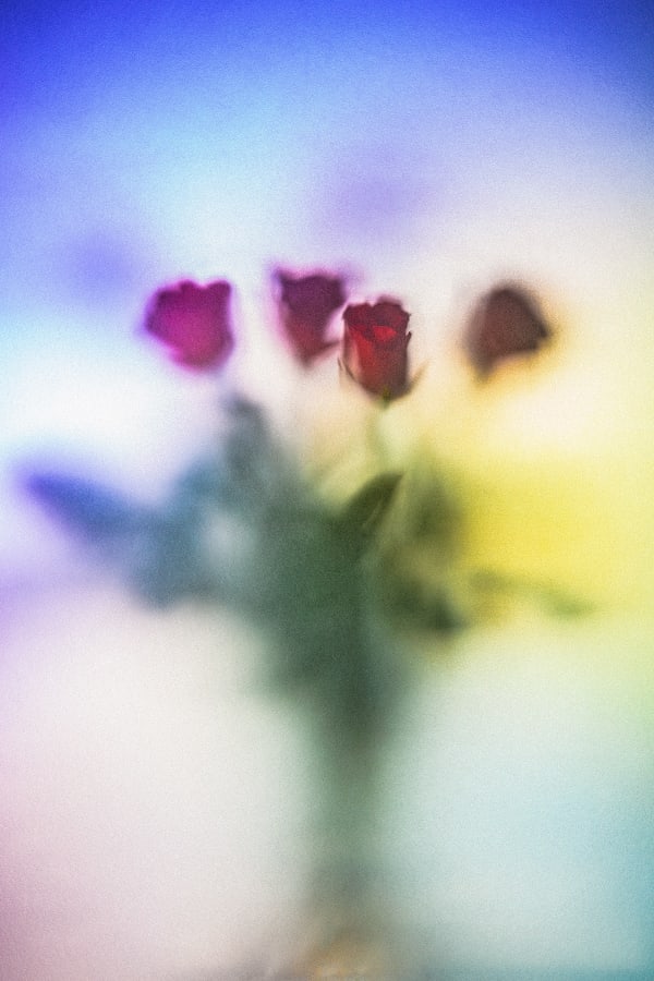 Revealed series number two Steve Gallagher