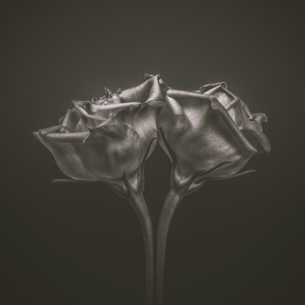 Steve Gallagher, Together, 2023