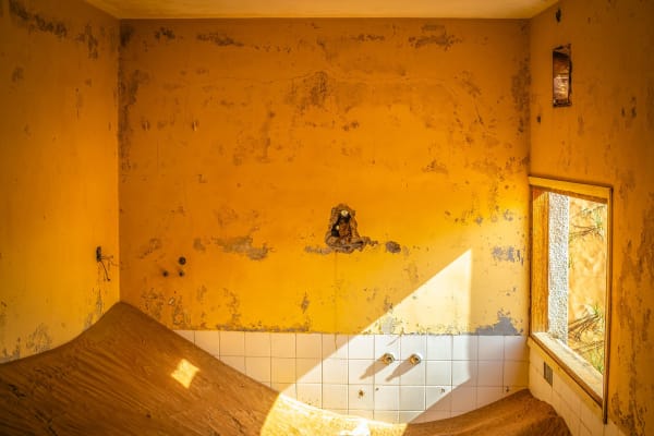 Steve Gallagher, Al Madam VII, 2024