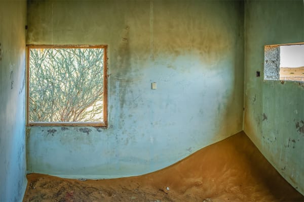 Steve Gallagher, Al Madam XI, 2024