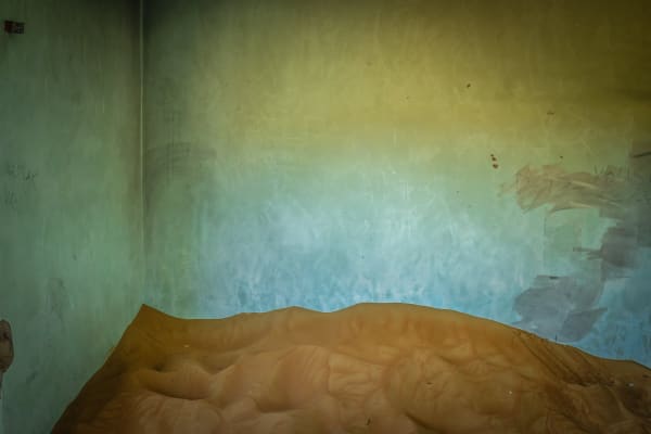 Steve Gallagher, Al Madam X, 2024