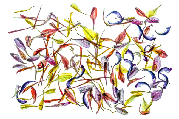 The Other Art Fair | London The Truman Brewery