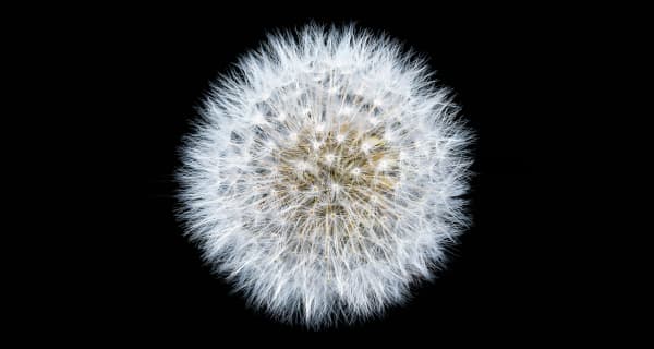 The Other Art Fair | London The Truman Brewery