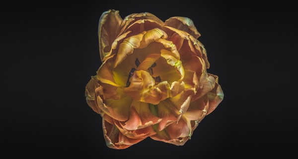 Art is for Everyone Oxmarket Contemporary, St. Andrew’s Court, off East Street, Chichester, West Sussex PO19 1YH