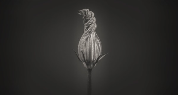 MONOCHROME: A Study in Light and Shadow Colonnade House, 47 Warwick Street, Worthing, BN11 3DH