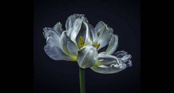 The Other Art Fair | London The Truman Brewery