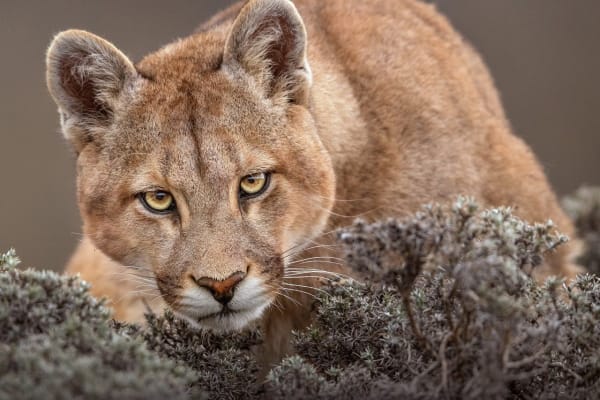 Reflections The Photography Show