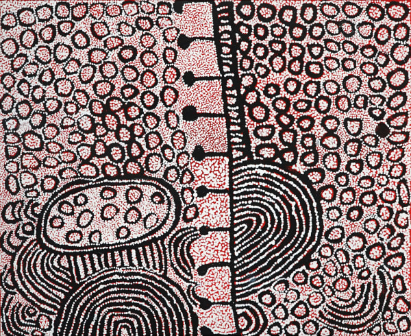 Ladies from Papunya: Exhibition Yinarupa Nangala, Ngawinya, 78 x 96 cm