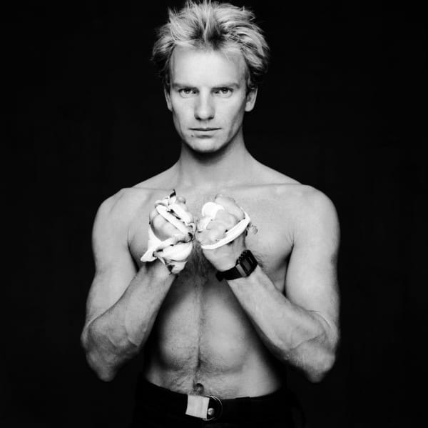 Terry O'Neill, Sting