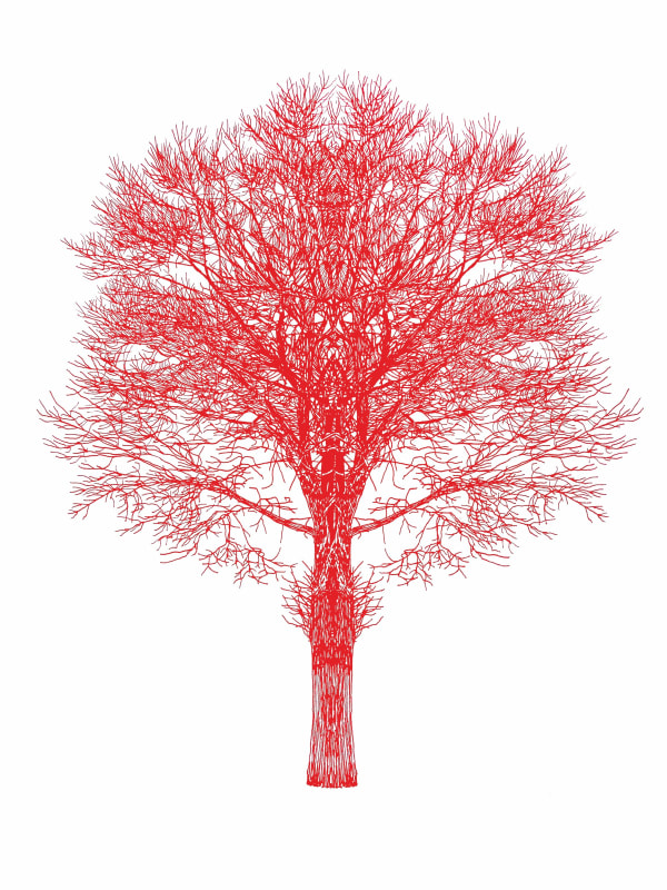 Eamon O'Kane, Red Baum Test, 2022