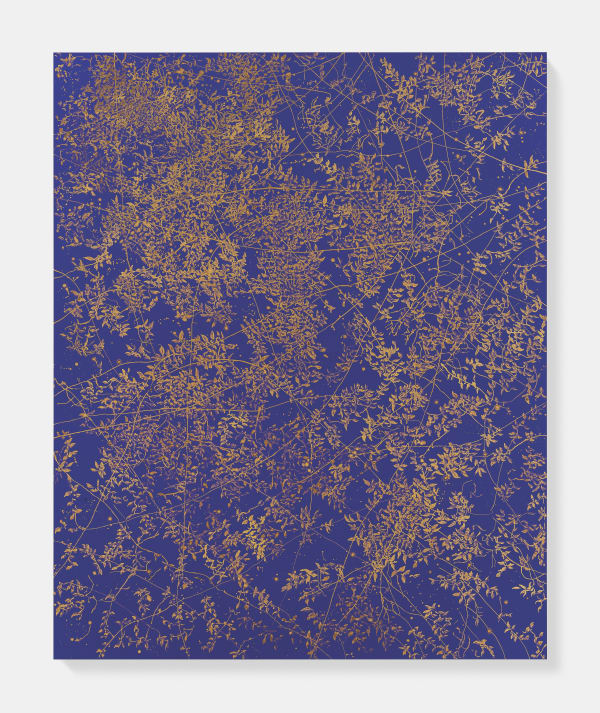 Sue Arrowsmith, Let the wind blow through your heart, 2019