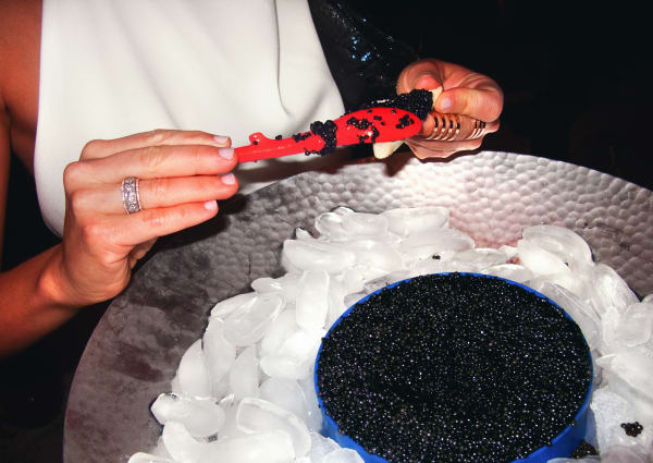 Jessica Craig-Martin, An Embarrassment of Riches, 2017