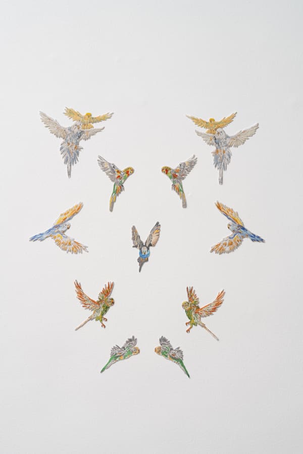 Caetano de Almeida, Periquitos australianos 1/3, 2022