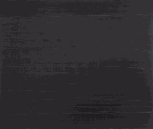 Manijeh Yadegar, C20-08, 2008