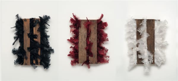 Caetano de Almeida, Engradados de galinhas / galinhas pretas / galinhas ruivas / galinhas brancas, 2022