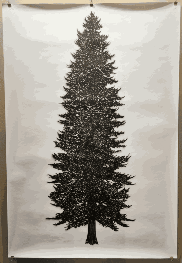 Eamon O'Kane, Tree work I, 2017