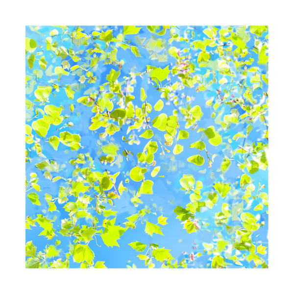 Ralf Peters, SWEETS 6 MO, 2024