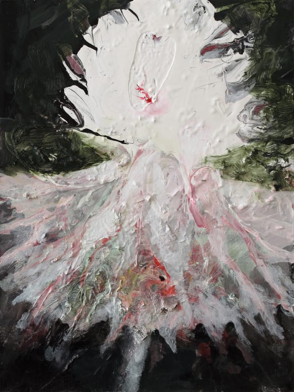 Barbara Ellmerer, Fleur en tutu, 2024