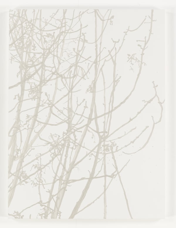 Sue Arrowsmith, Heaven to me, 2016