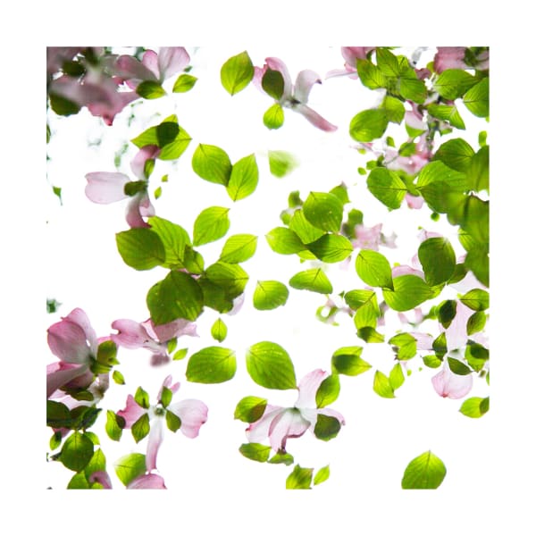 Ralf Peters, SWEETS 20 MO, 2024