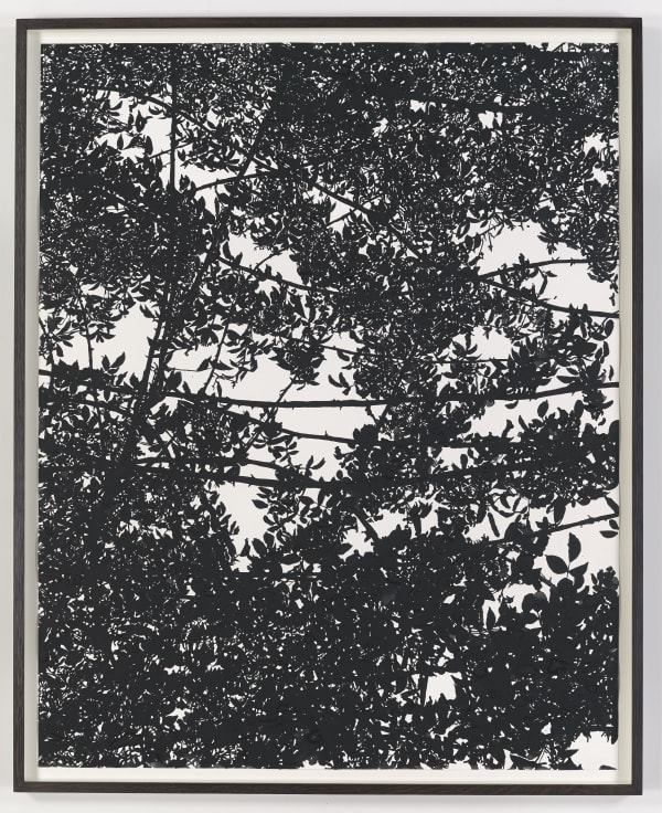 Sue Arrowsmith, The sky is burning, 2014