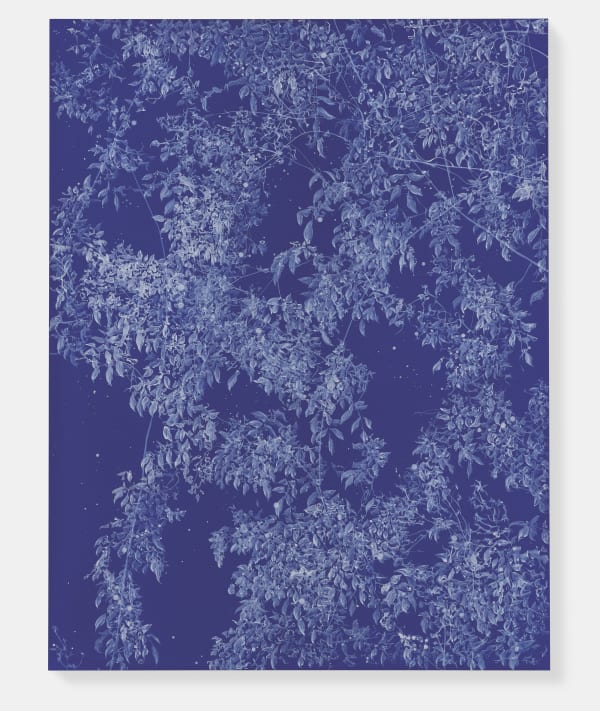 Sue Arrowsmith, Keeping the midnight stars, 2018