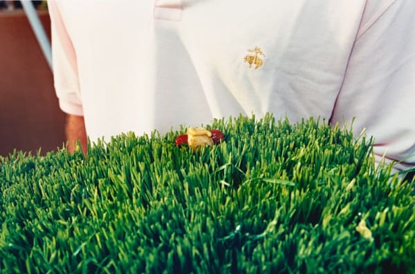 Jessica Craig-Martin, Brooks Brothers Weiner (Cancer Benefit, Southampton) , 2006