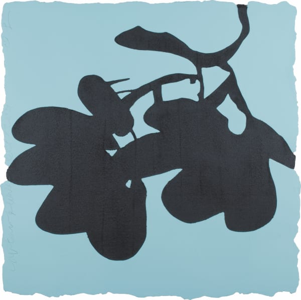 Donald Sultan, Lantern Flowers, Oct. 1, 2009, 2009