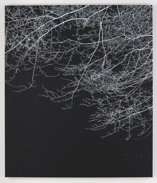 Sue Arrowsmith, Fire filled the sky, 2015