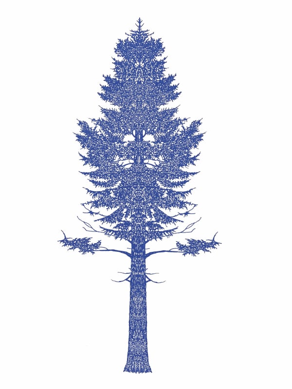 Eamon O'Kane, Violet Baum Test , 2023