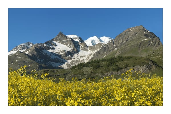 Ralf Peters, Keen Insight, "Gelb, Berg", 2016