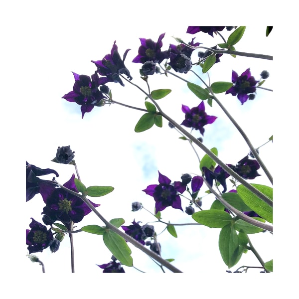 Ralf Peters, SWEETS 97 MO, 2024