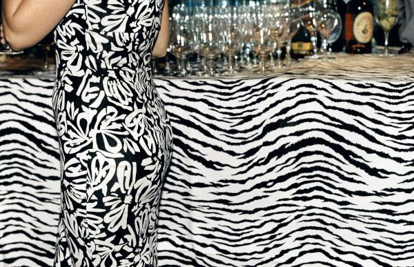 Jessica Craig-Martin, Camouflage II, 2017