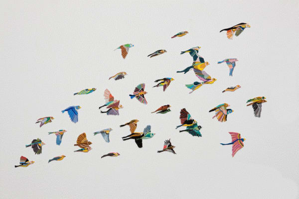 Caetano de Almeida, Pardais