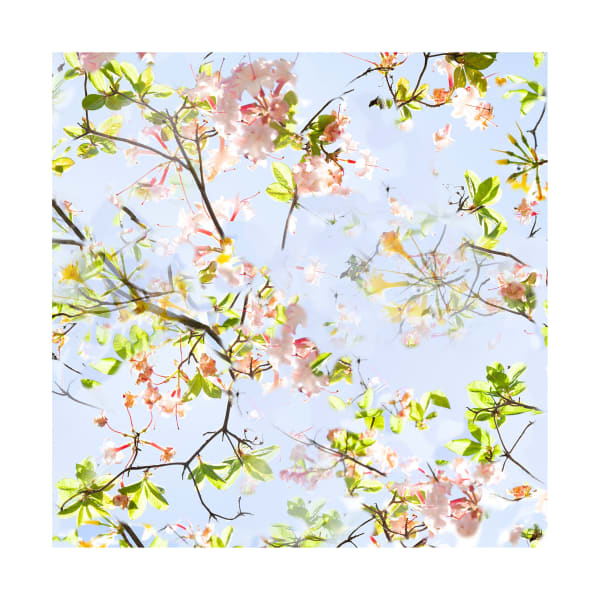 Ralf Peters, SWEETS 2 MO, 2024