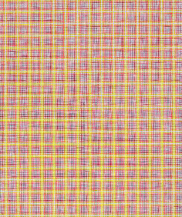 Caetano de Almeida, Trelix, 2017