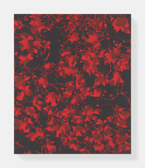 Sue Arrowsmith, Open your heart, 2019