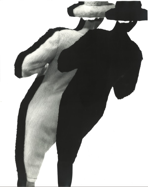 Erwin Blumenfeld, Untitled, 1961