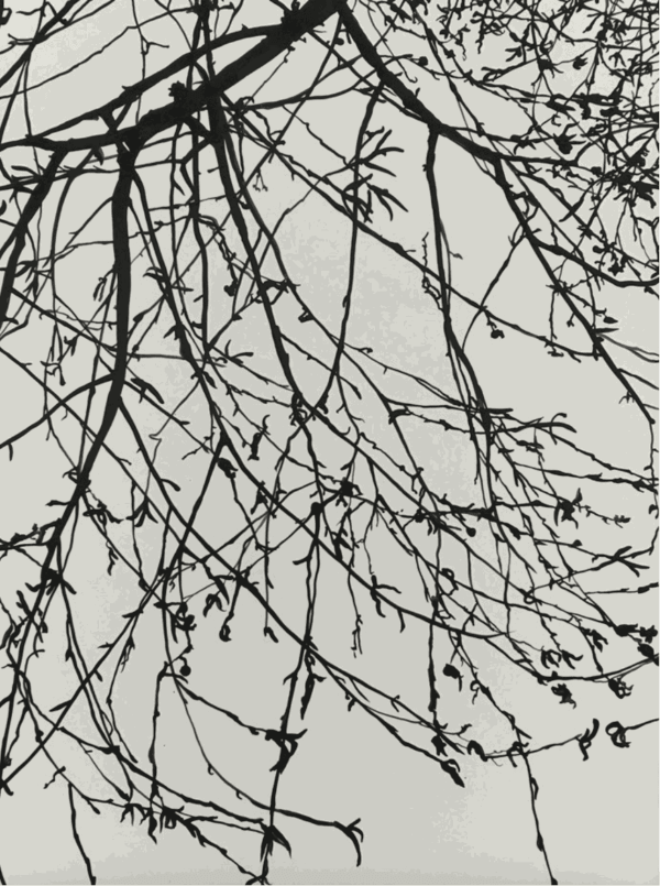 Sue Arrowsmith, A thousand miles behind, 2015